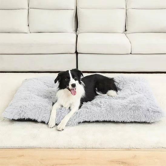 Coussin chien moelleux coton