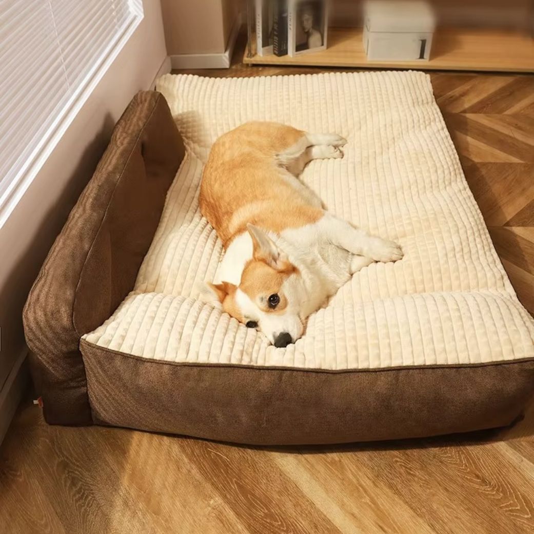 Coussin chien xxl confort premium doux confortable