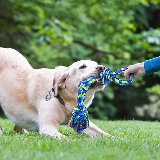Jouet pour chien â Indestructible