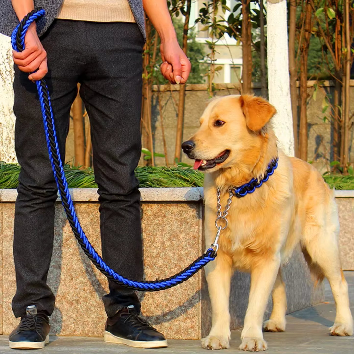 Laisse pour Chien - Tressé