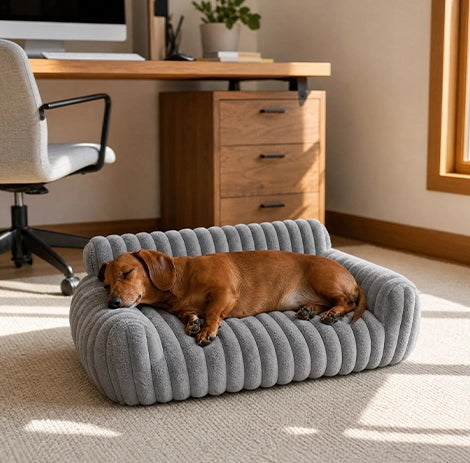 canape pour chien gris en velours cotele avec teckel endormi