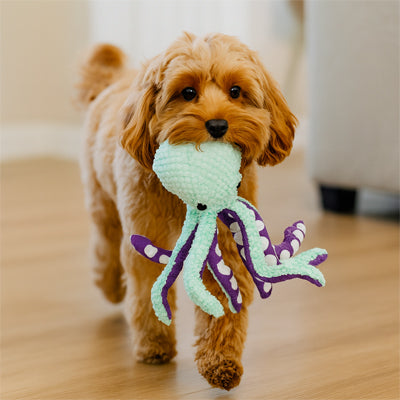Doudou chien | Poulpe Géant