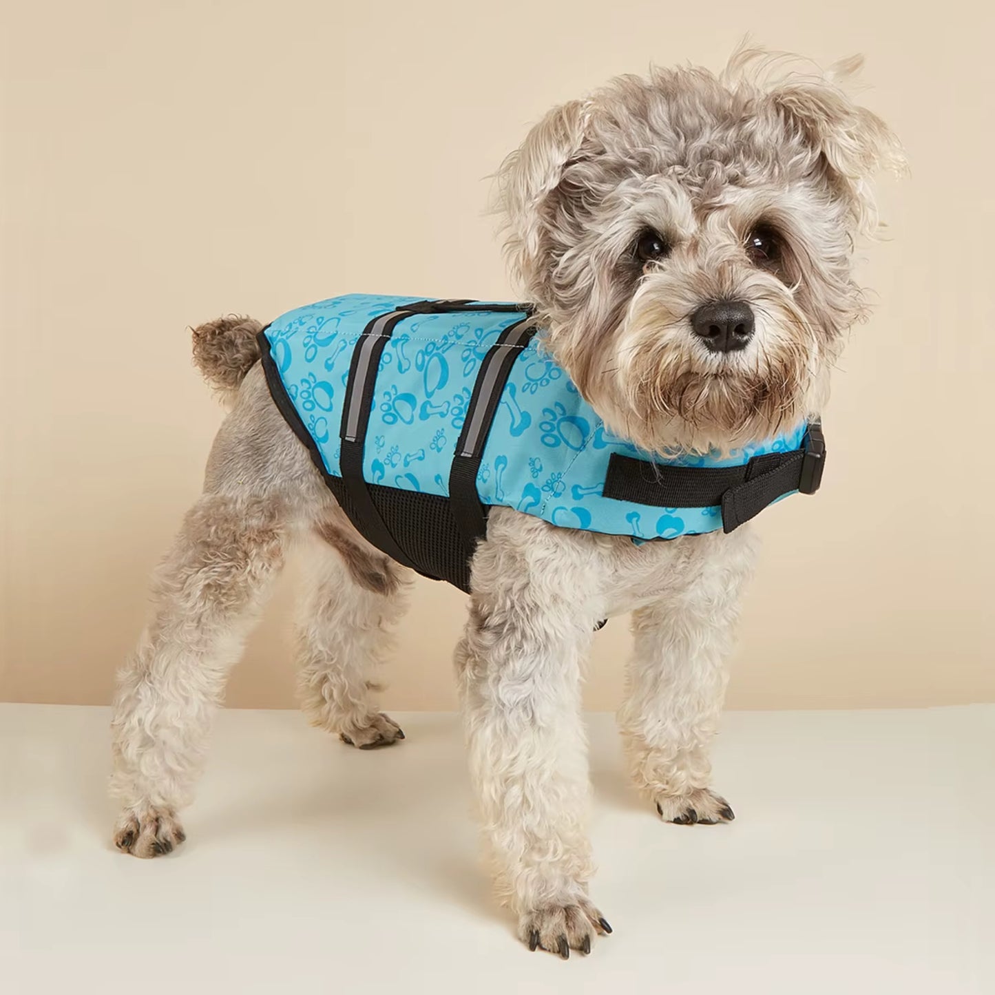 Gilet sauvetage pour chien - FlotiDog
