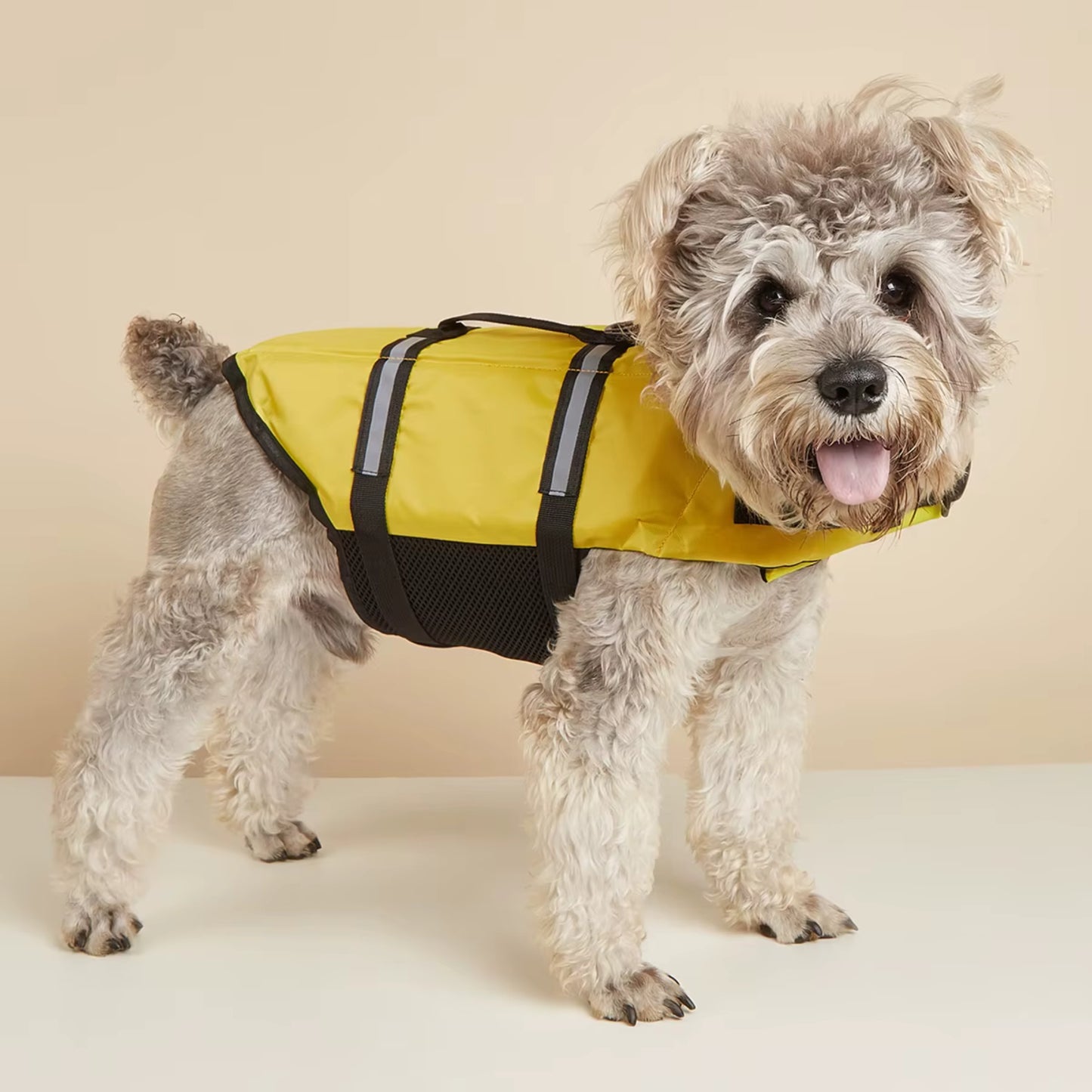 Gilet sauvetage pour chien - FlotiDog