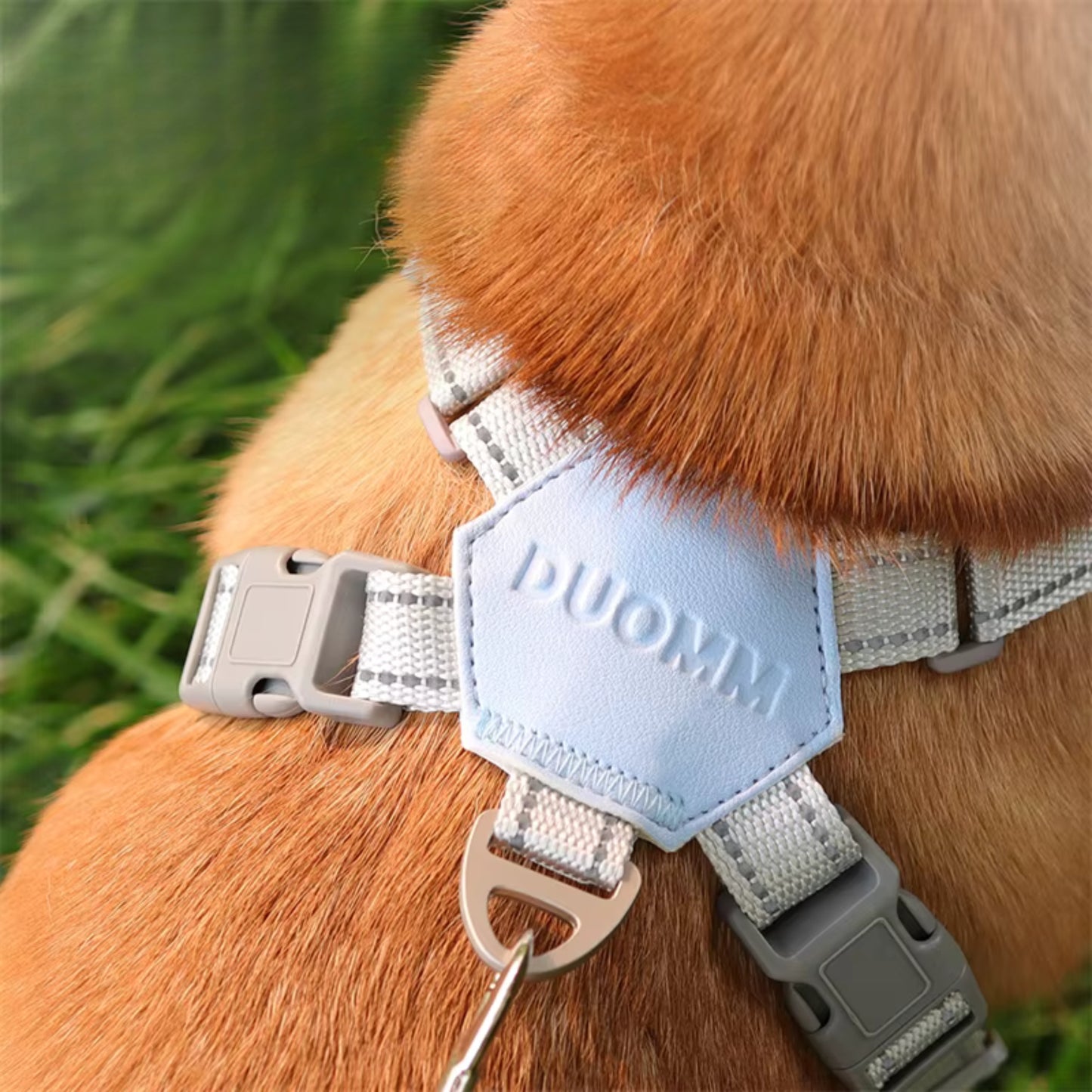 Harnais Anti Traction Chien - Rembourré