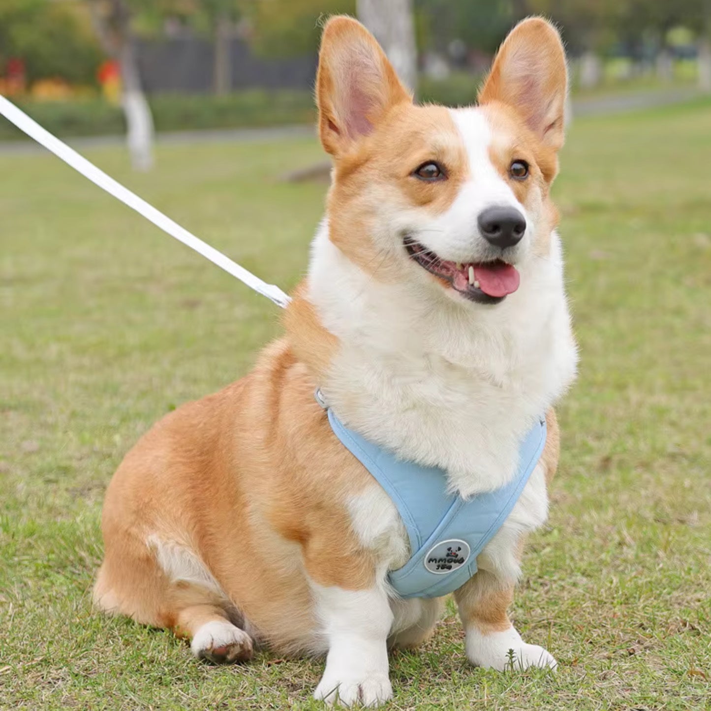 Harnais Anti Traction Chien - Rembourré