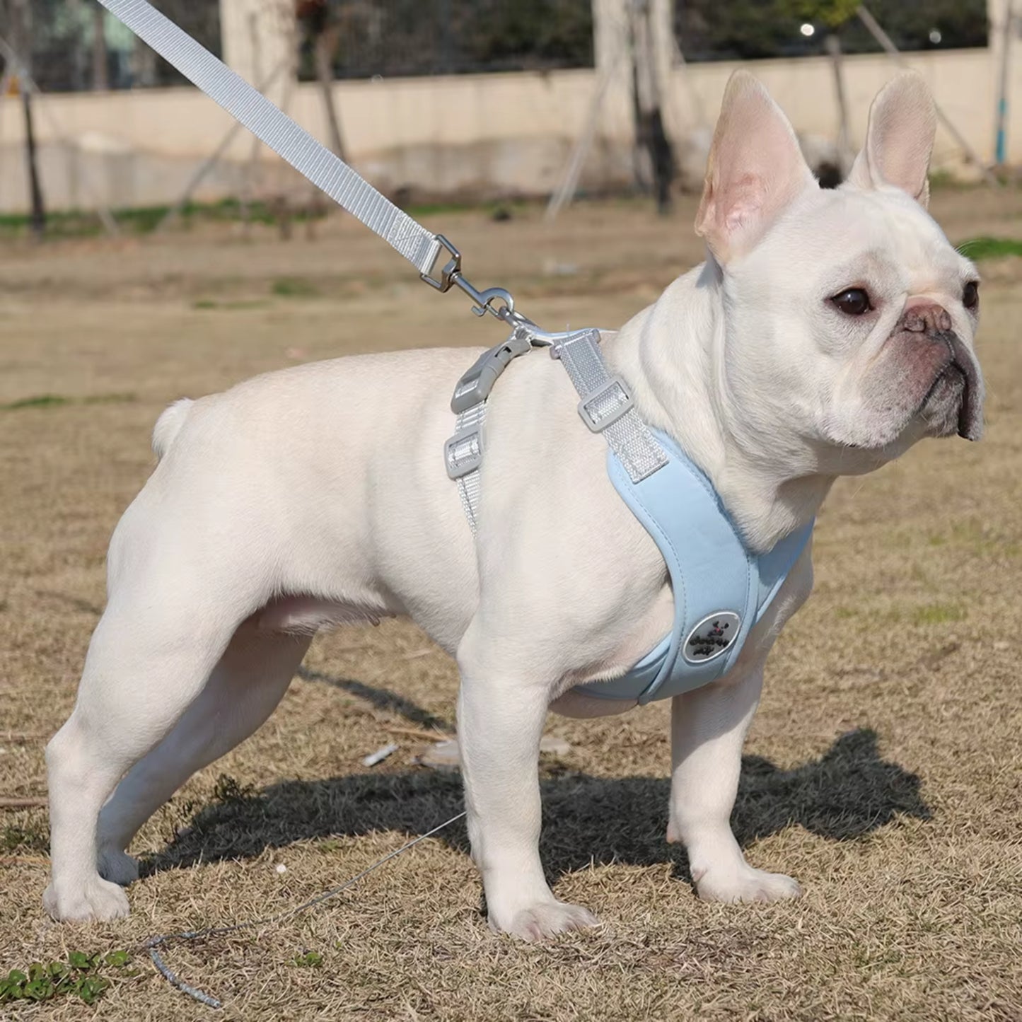 Harnais Anti Traction Chien - Rembourré