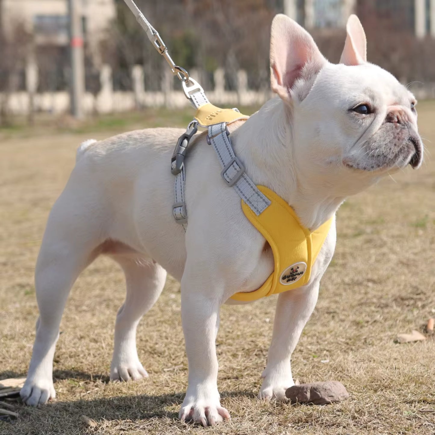 Harnais Anti Traction Chien - Rembourré