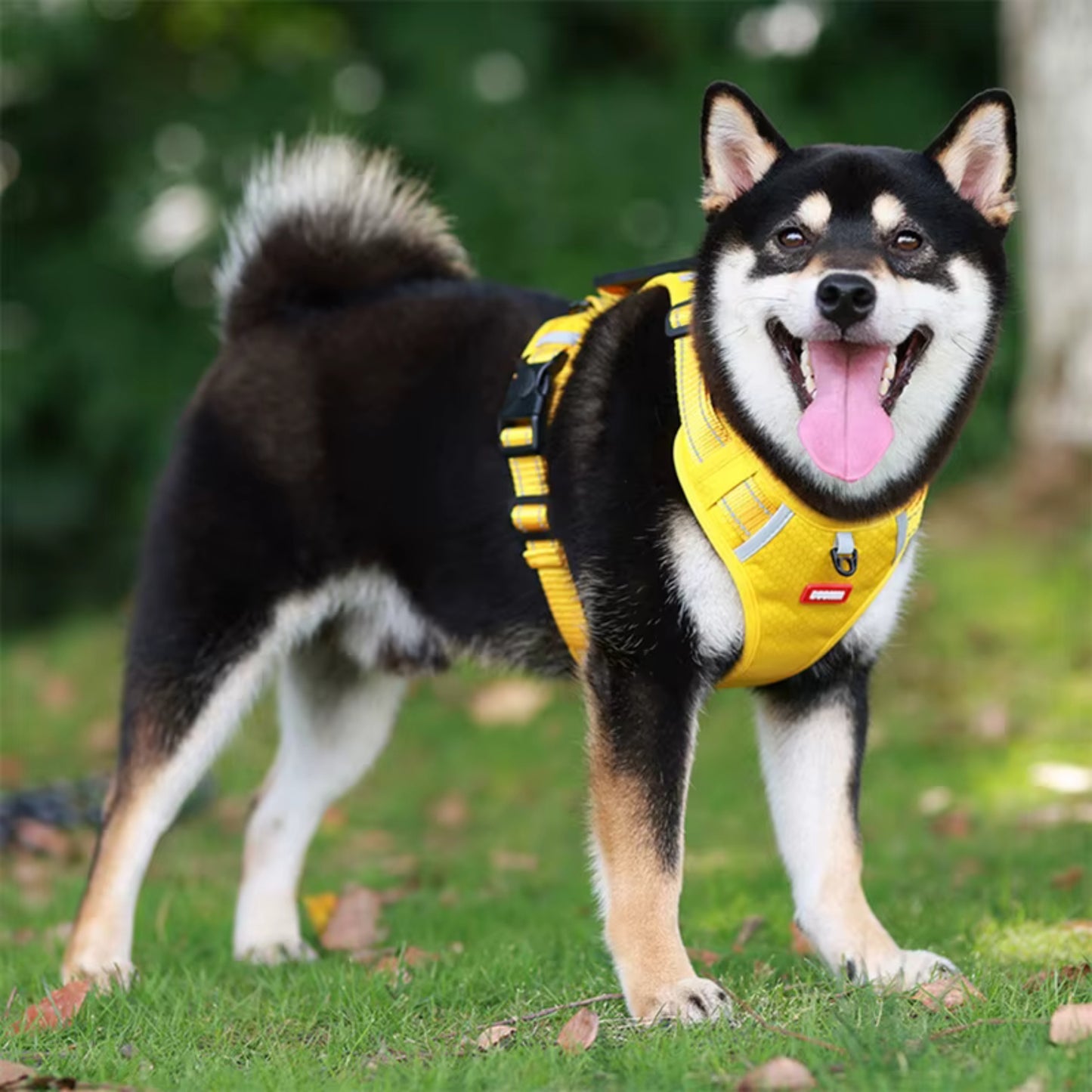 Harnais Chien Anti Traction - Ajustable