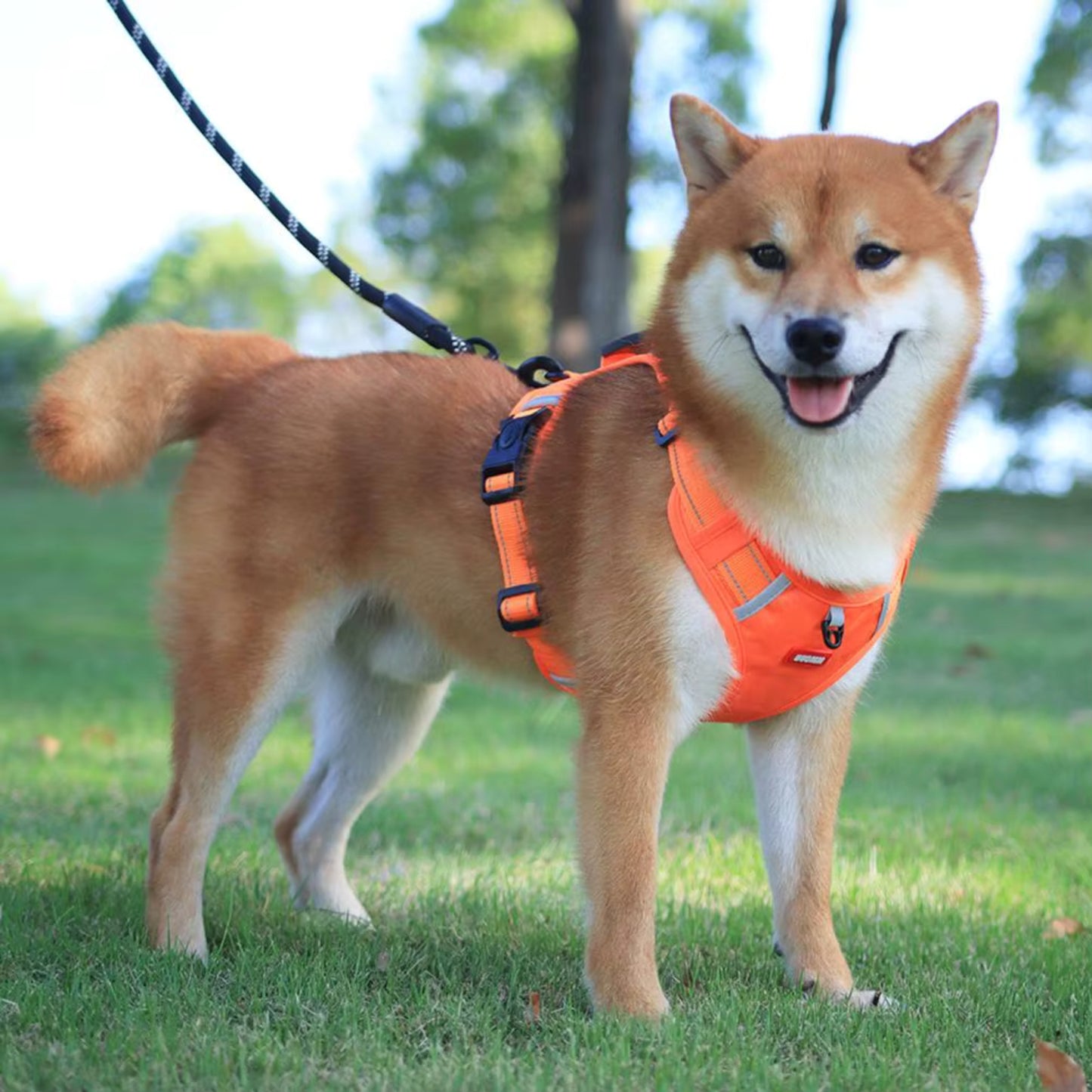 Harnais Chien Anti Traction - Ajustable