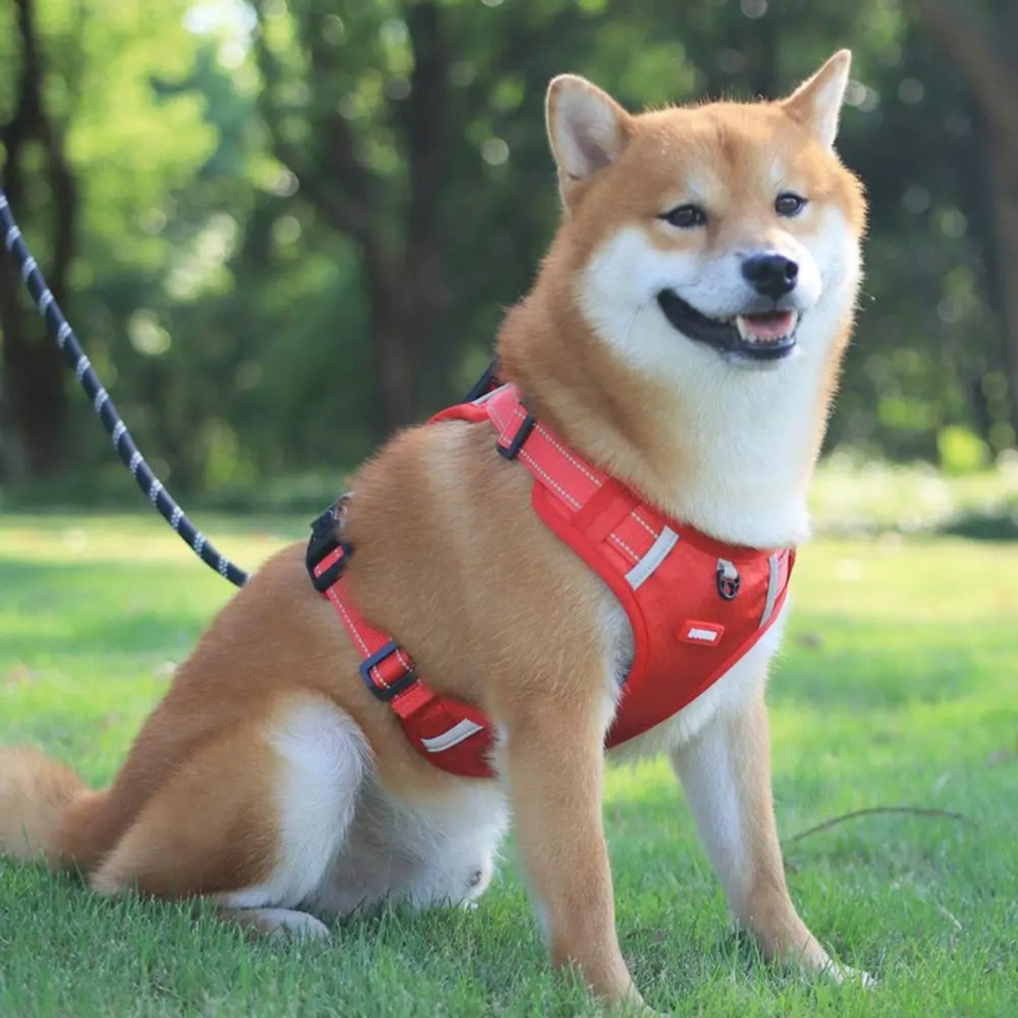 Harnais Chien Anti Traction - Ajustable