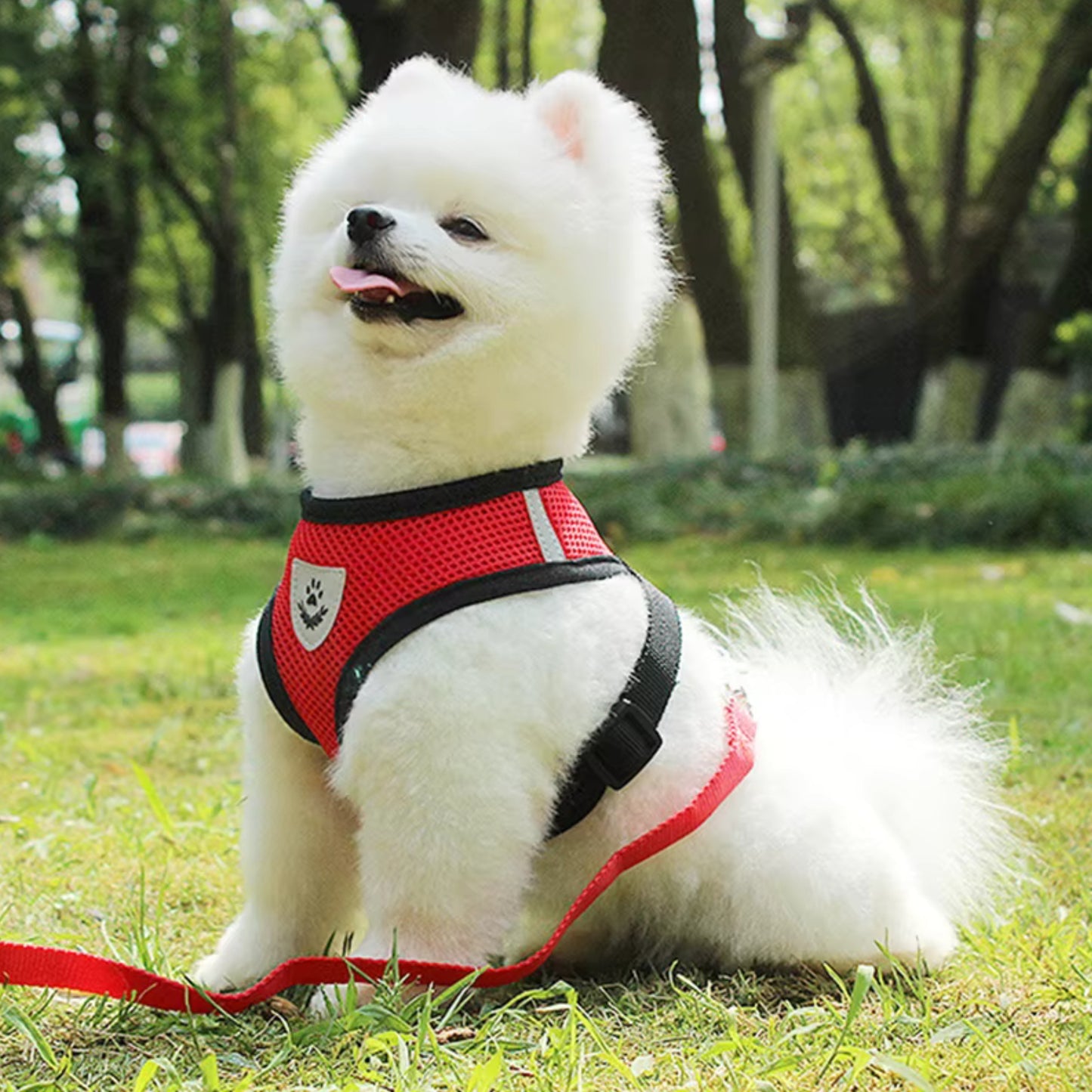 Harnais Petit Chien - MiniMate™