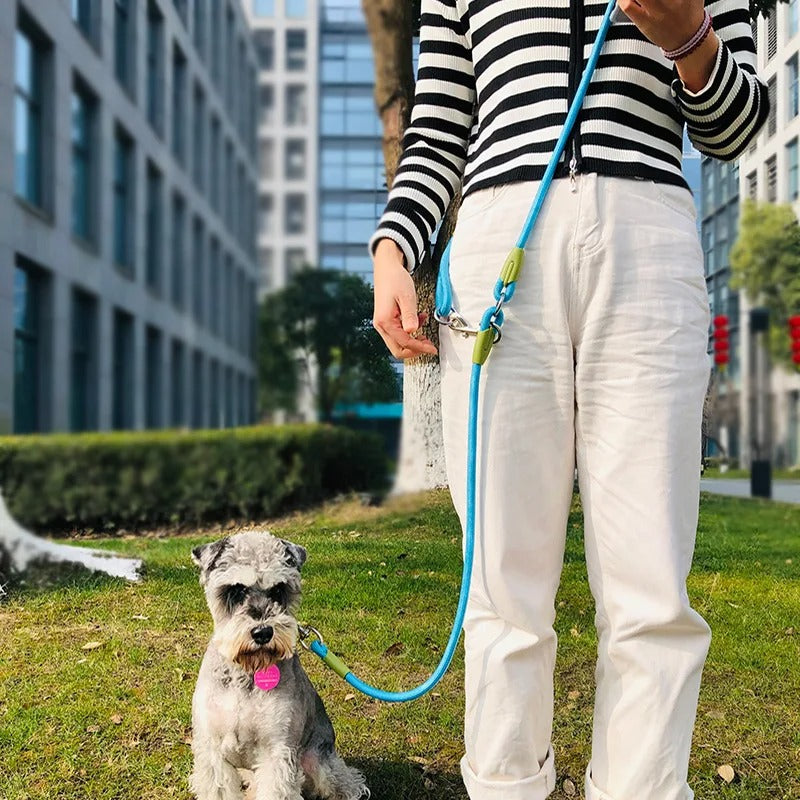 Laisse pour Chien - Bandoulière