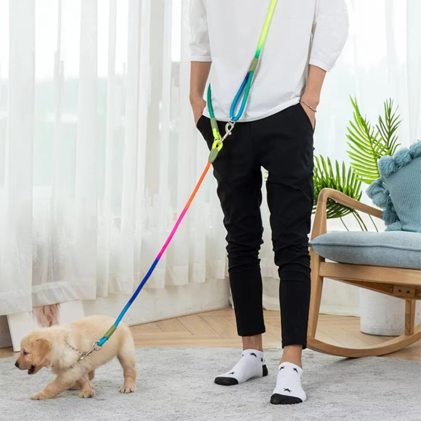 Laisse pour Chien - Bandoulière