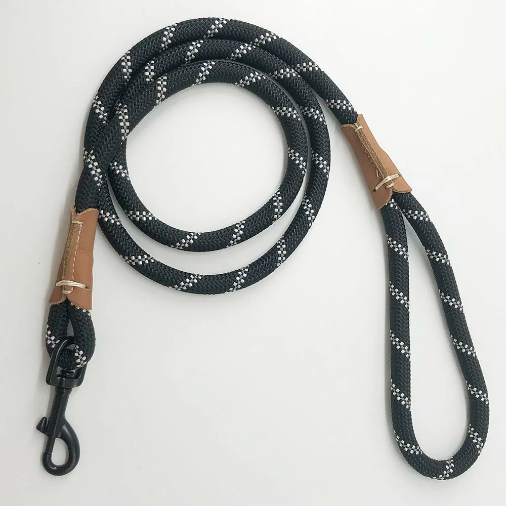 Laisse pour chien - Lasso Renforcé