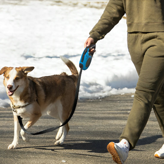 Laisse pour Chien - Rétractable