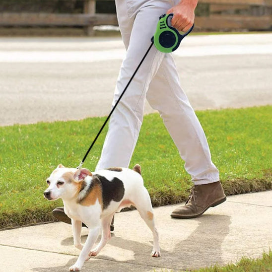 Laisse pour Chien - Rétractable