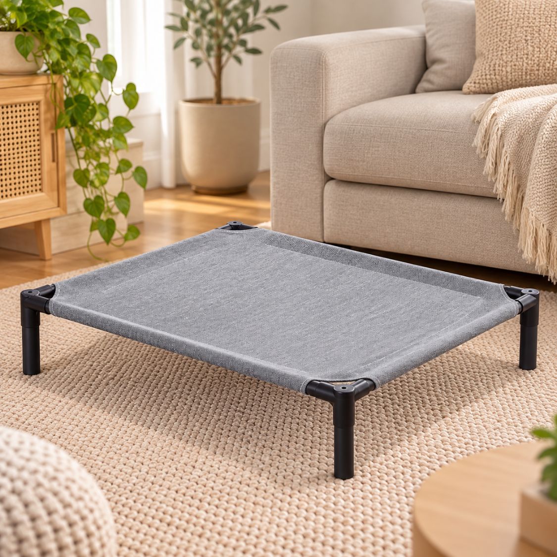 lit de camp pour chien toile grise pleine salon