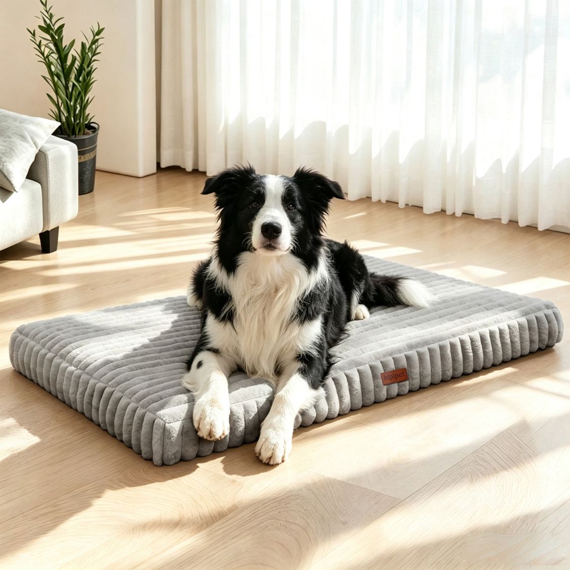 matelas orthopedique pour chien gris chien installe