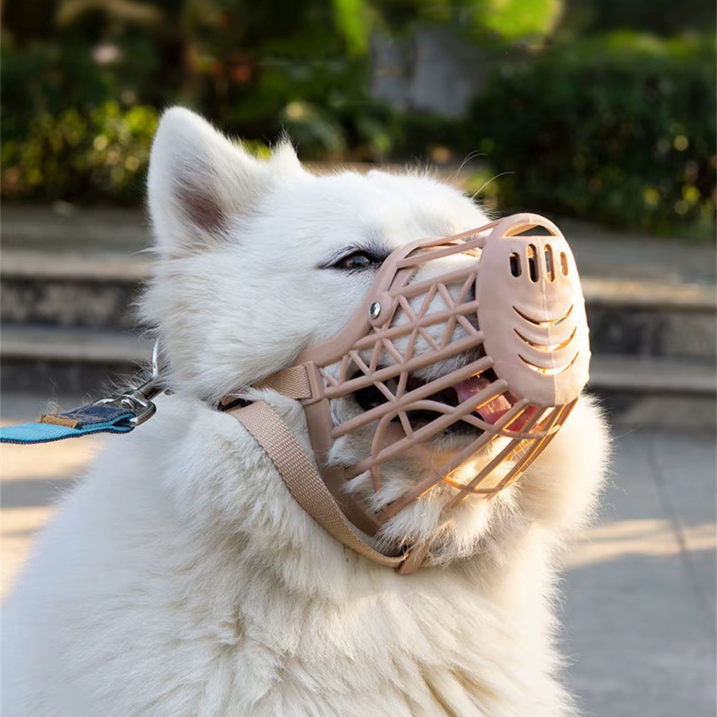 Muselière Chien - Anti Morsure