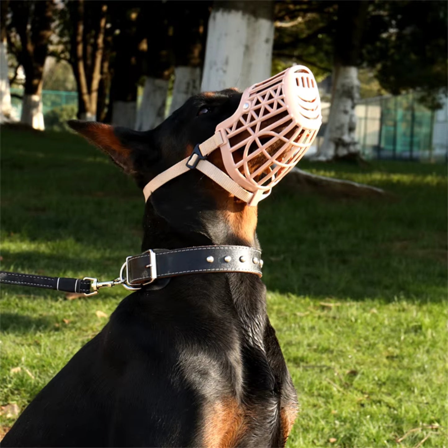 Muselière Chien - Anti Morsure