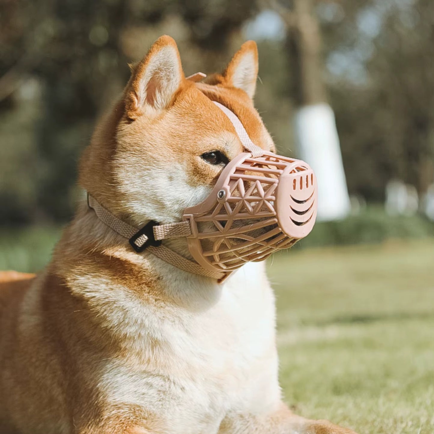 Muselière Chien - Anti Morsure
