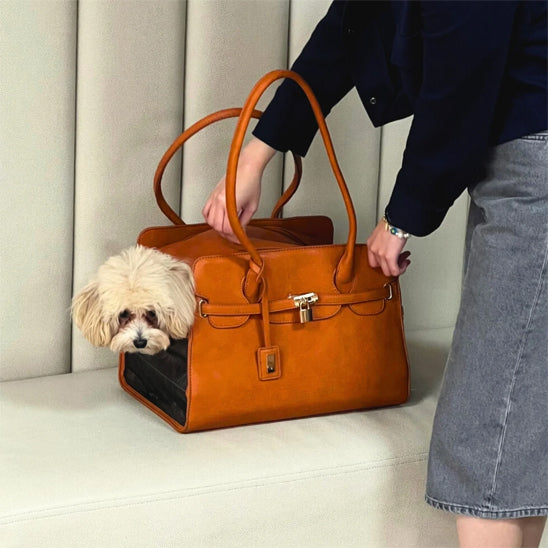 Sac de transport pour chien - Cuir