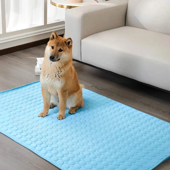 Tapis pour chien bleu respirant avec chien assis