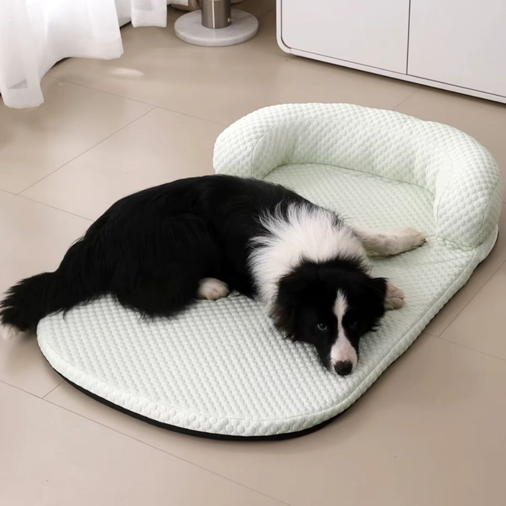 tapis rafraichissant chien appui tĂȘte vert confortable