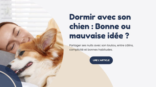 dormir avec son chien