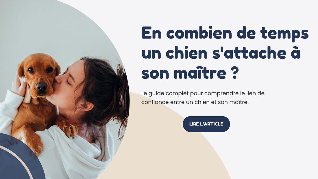 En combien de temps un chien s'attache a son maitre