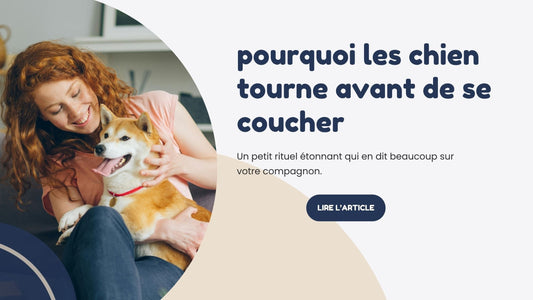 pourquoi les chien tourne avant de se coucher