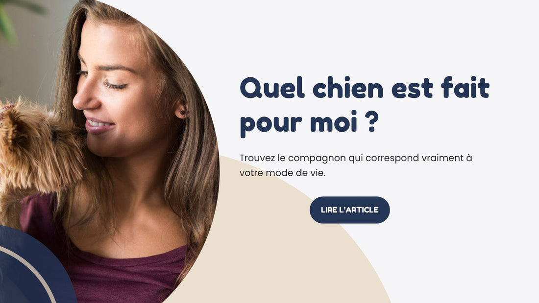 Quel chien est fait pour moi ? Femme tenant son chien dans ses bras
