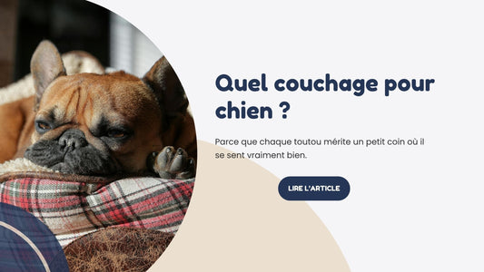 quel couchage pour chien
