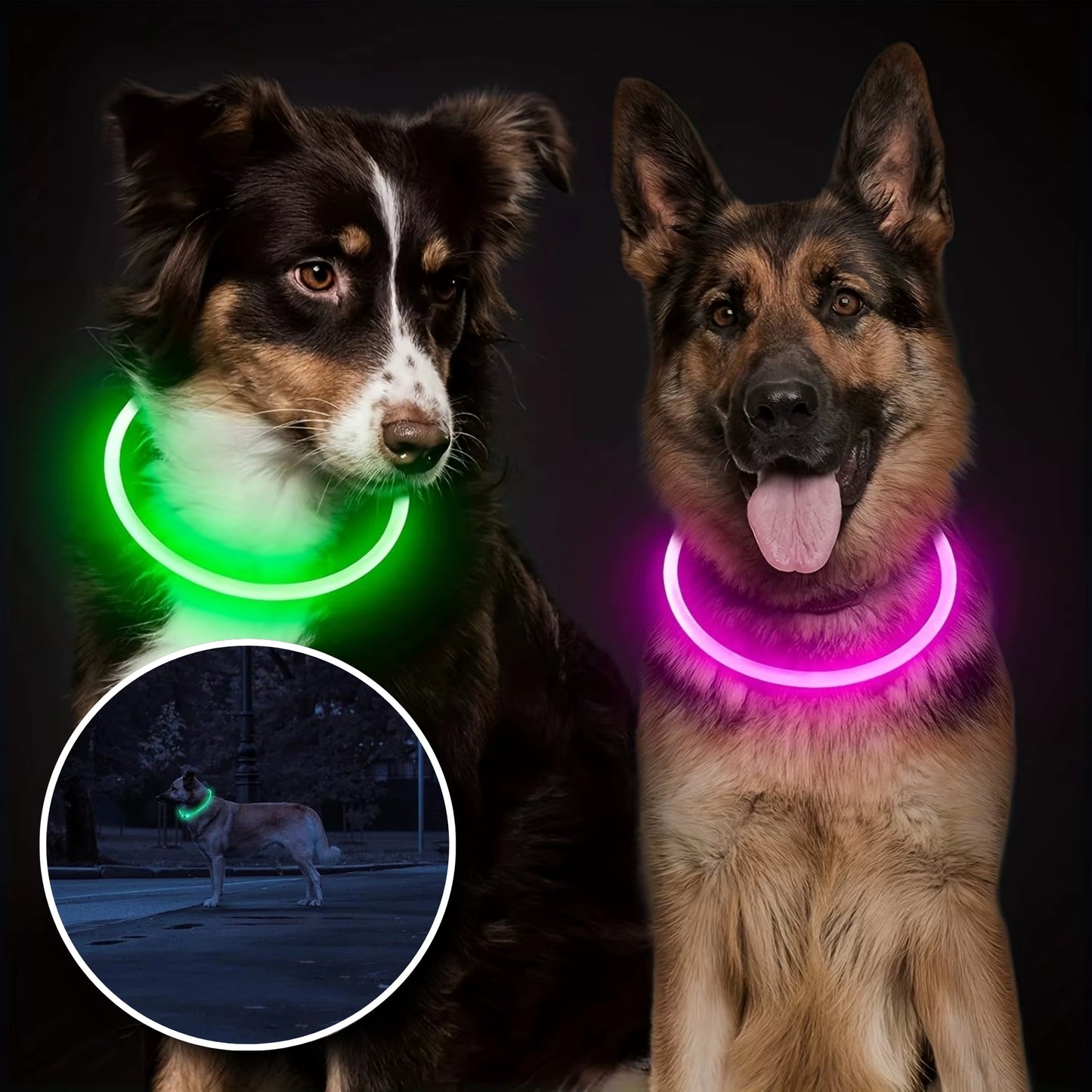 Collier Lumineux Chien - Étanche