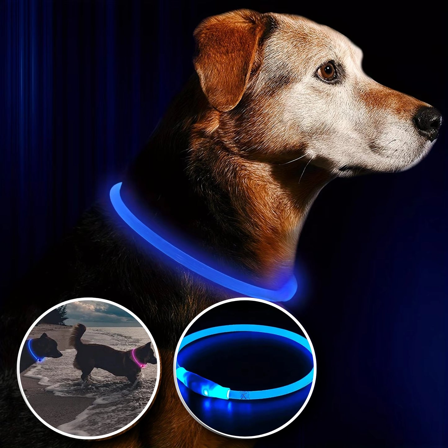 Collier Lumineux Chien - Étanche