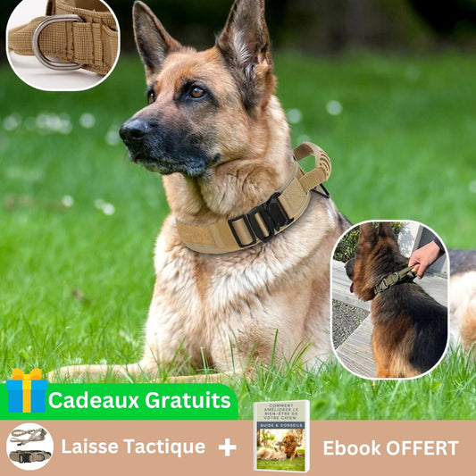 Collier pour chien - Tactique™