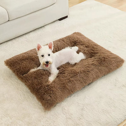 Coussin chien moelleux coton doux