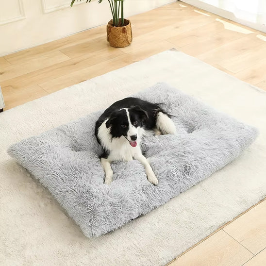 Coussin chien moelleux coton gris