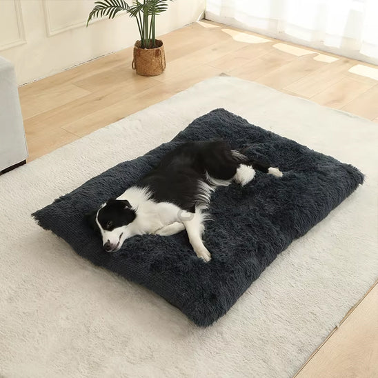 Coussin chien moelleux coton noir