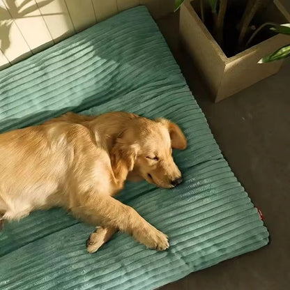 Coussin pour chien confort optimal vert