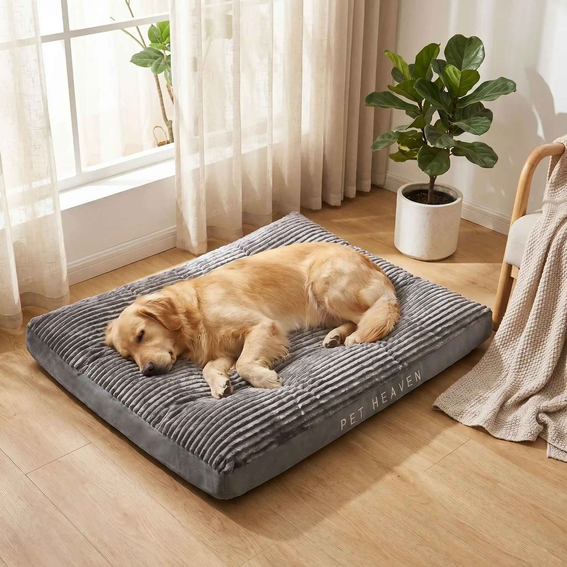 Coussin pour chien confort optimal xxl gris