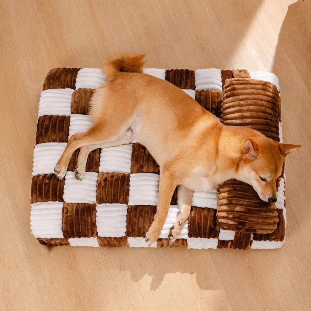 Coussin pour chien orthopédique haute densité confortable