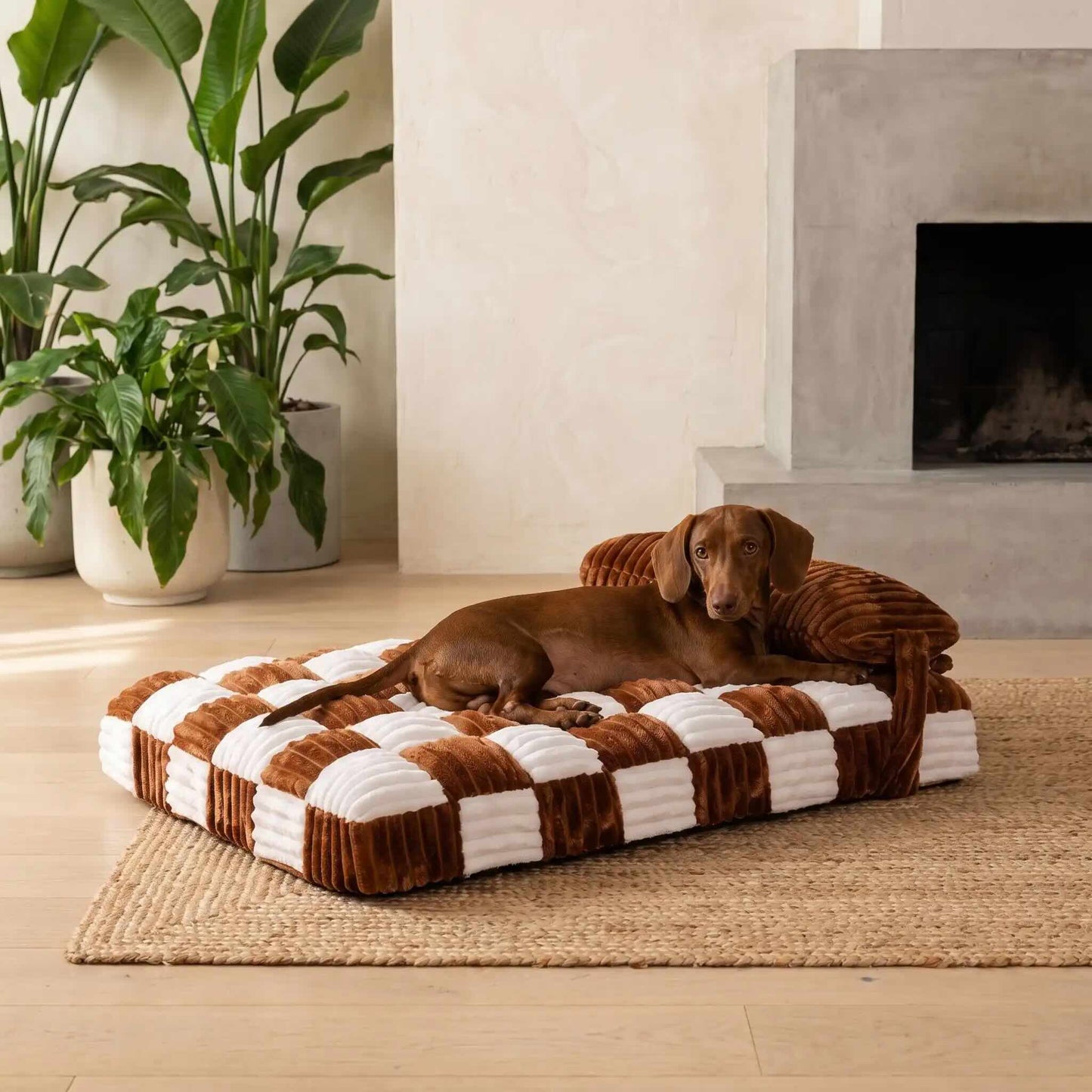 Coussin pour chien orthopédique haute densité marron
