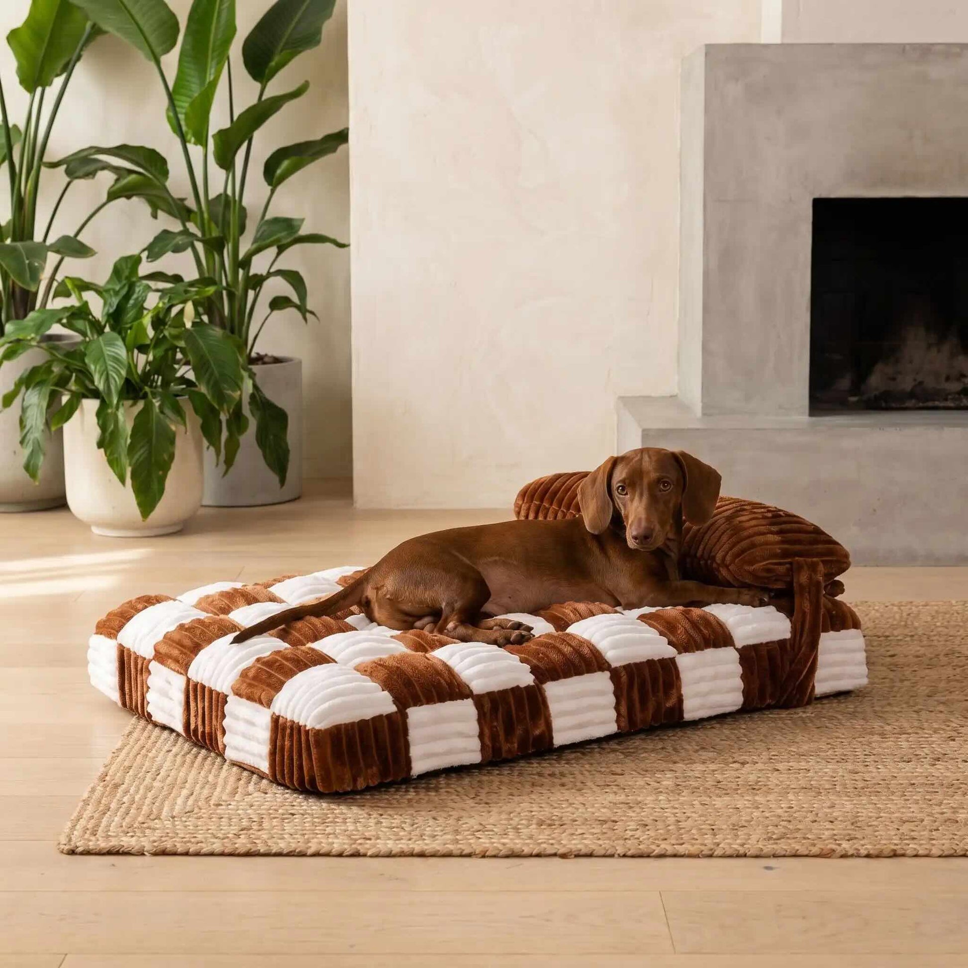 Coussin pour chien orthopédique haute densité marron