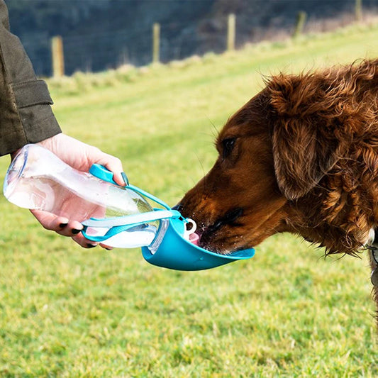 Gourde pour Chien - Pliable