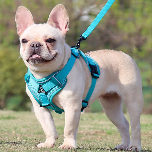 Harnais Chien Anti Traction - Réglable