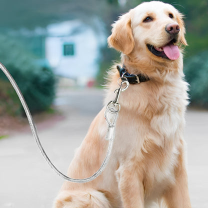 Laisse pour Chien - Anti Morsure
