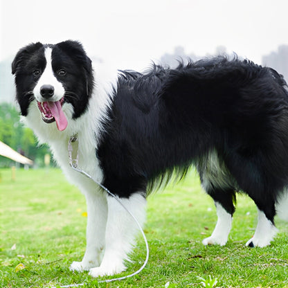 Laisse pour Chien - Anti Morsure