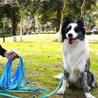 Laisse pour chien - Étanche